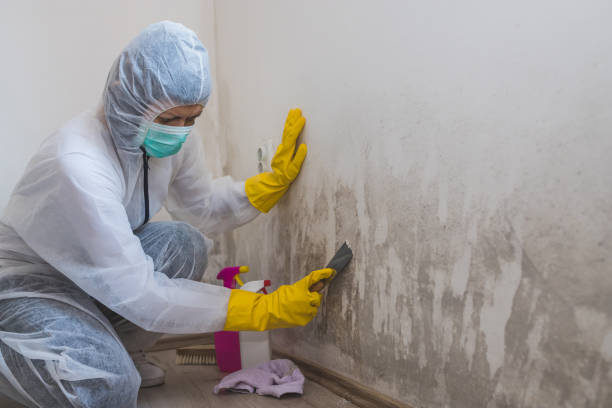 Best Post-Remediation Services in Saugatuck, CT