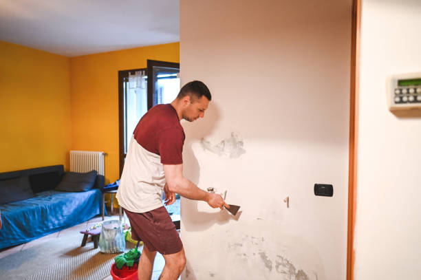Best Basement Mold Remediation in Saugatuck, CT